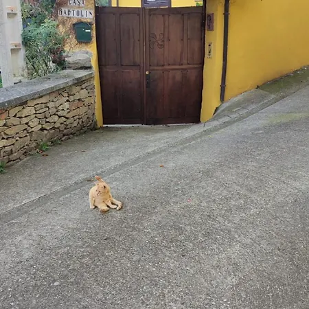 Casa Bartolin Хедрес